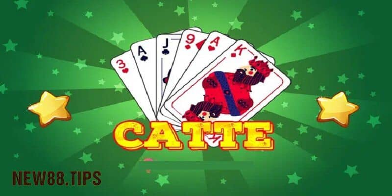 Tất Tần Tật Cách Chơi Bài Catte Dễ Thắng Nhất Cho Tân Thủ 6 Catte là gì?